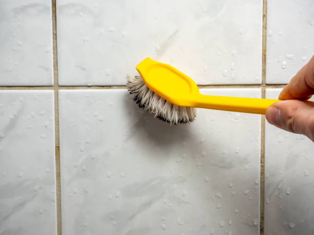 Best Localized Mold Remediation (e.g., coastal areas, humid climates) in Bradley, WV
