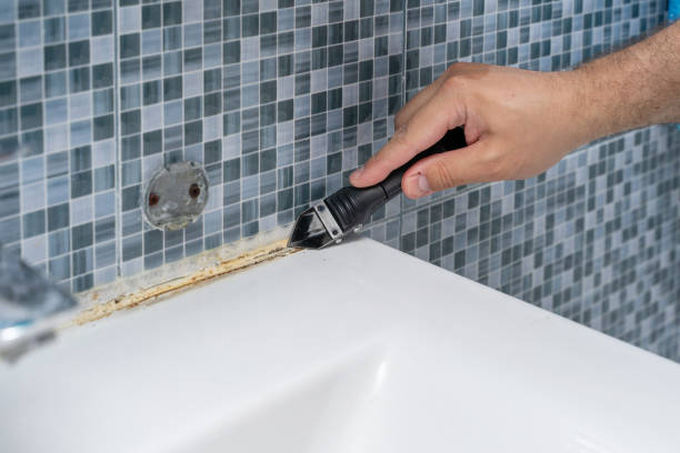 Best Bathroom Mold Remediation in Bradley, WV